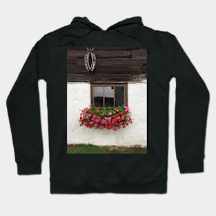 Window Box Hoodie